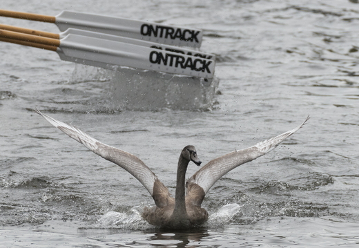 20191012-Grachtenrace-1199